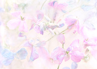 Icy Pink